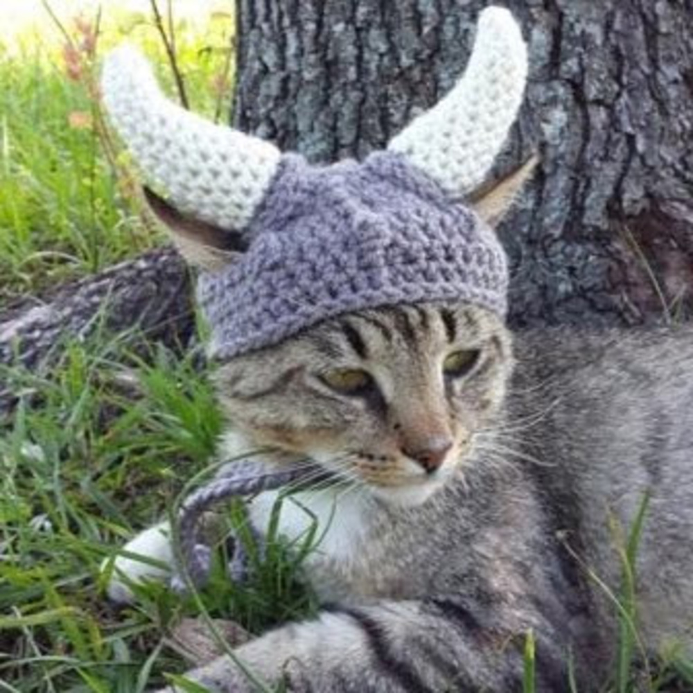 Meet your Posher, Audra